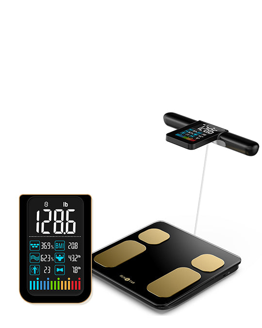 Body Composition Scale